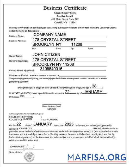 Blank USA New York business certificate Word and PDF template